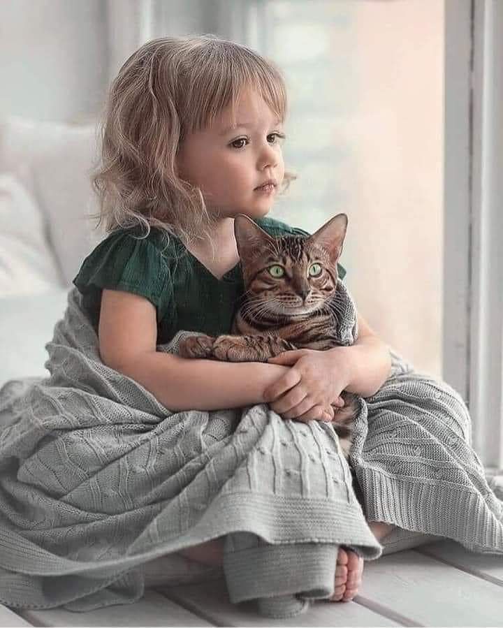 Child Hugging Tabby Cat