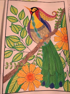 Colorful tropical bird with rainbow plumage surrounded by green leaves and orange flowers