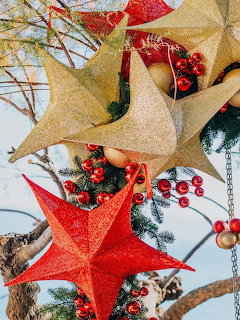 Gold and red glittery star ornaments with red berries on an outdoor Christmas tree