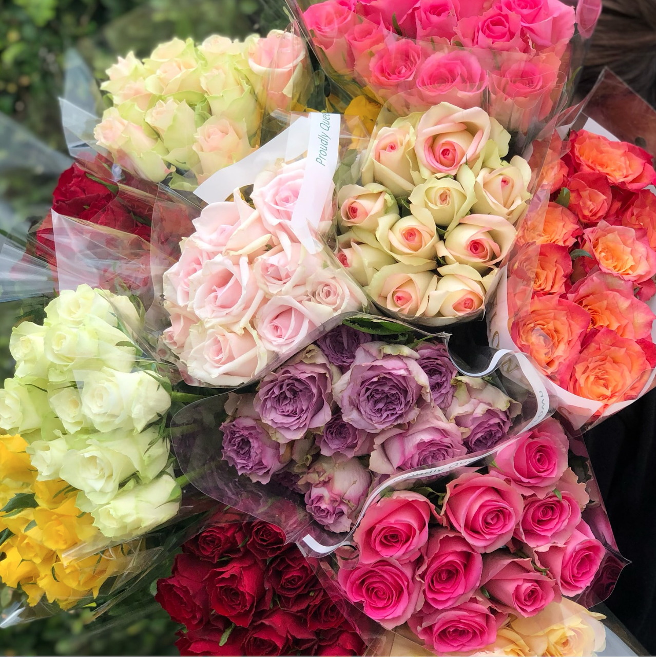 Multiple wrapped rose bouquets in various colors displayed together at a flower market