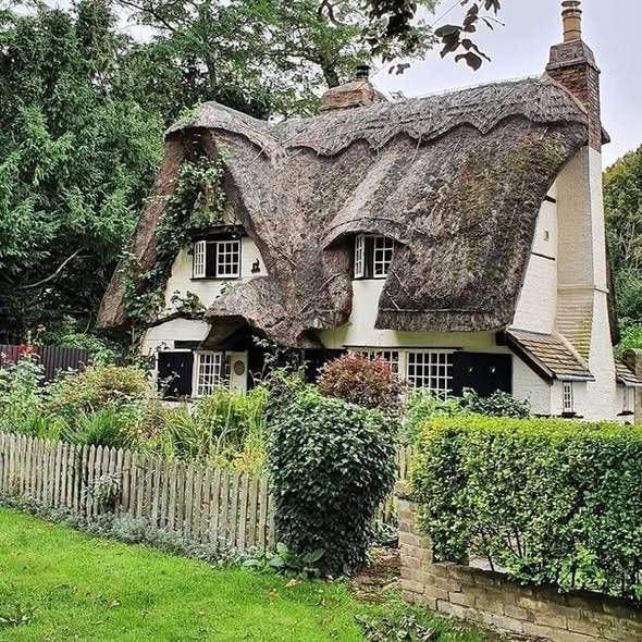 Thatched cottage with a wooden fence, hedges, and leafy trees