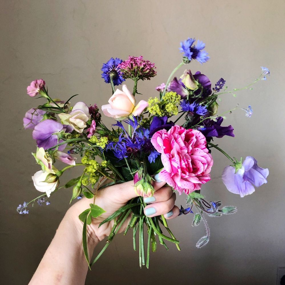 Hand holding a colorful mixed wildflower bouquet against a plain background