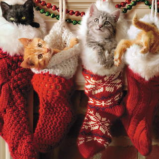 Kittens in Christmas Stockings