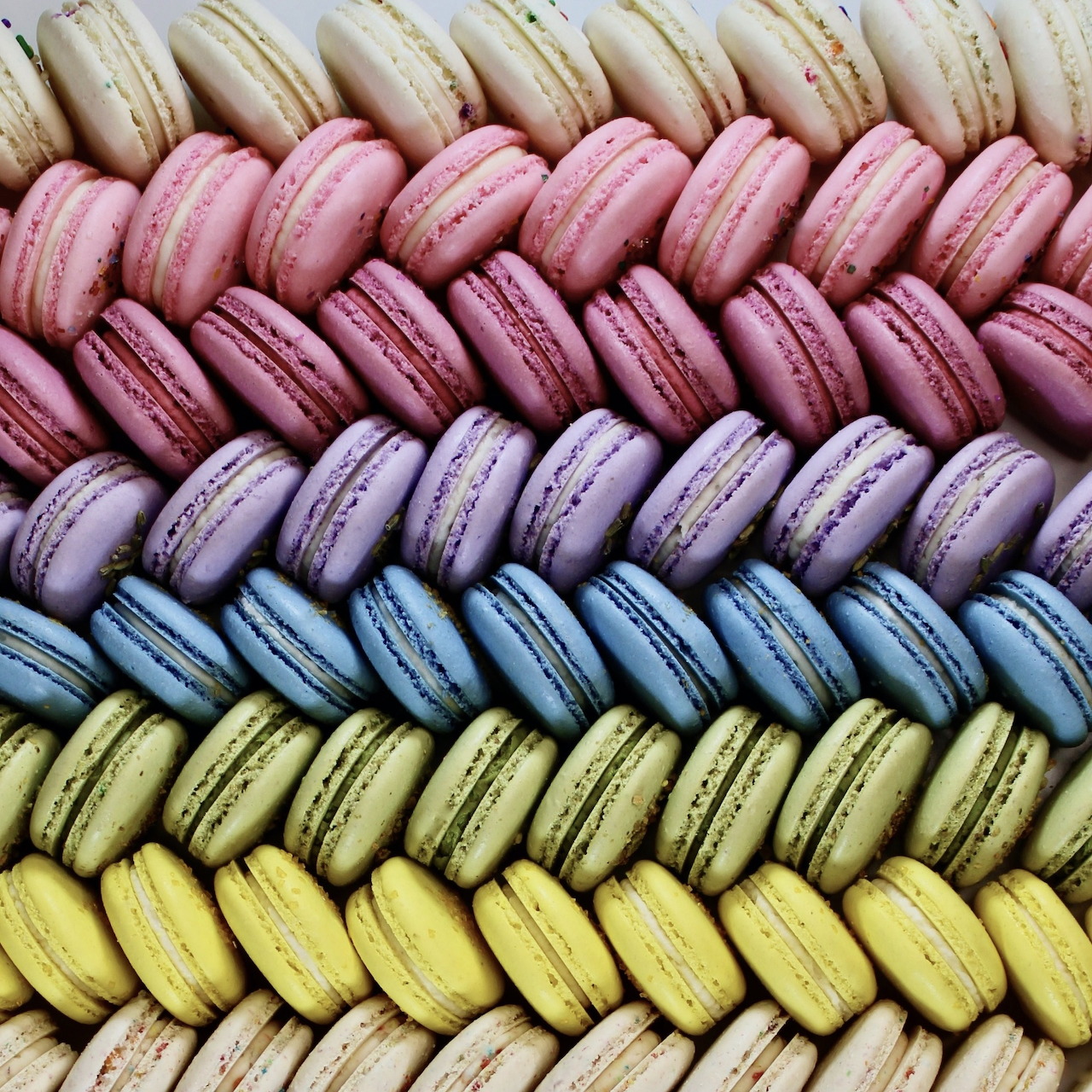 Rows of pastel-colored macarons arranged in rainbow gradient lines from pink to green