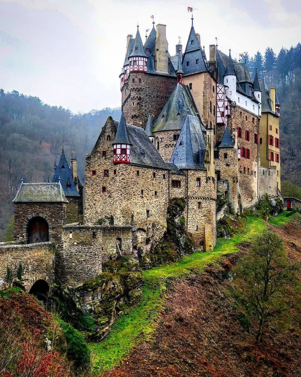 Medieval stone castle with multiple towers on a forested hillside on a misty day