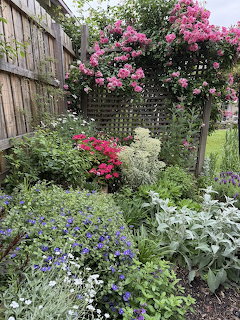 Climbing Rose Garden