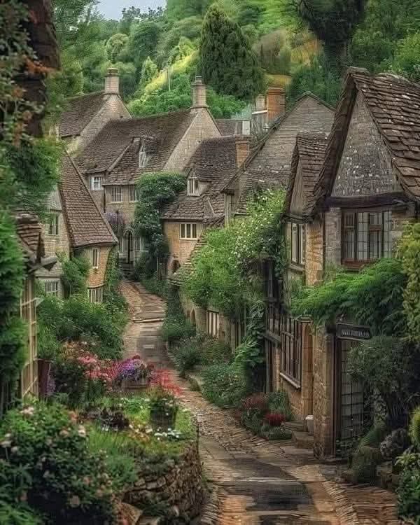 Coblestone path lined with old stone cottages covered in greenery in an English village