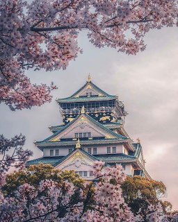 Osaka Castle seen through pink cherry blossom branches against a cloudy sky