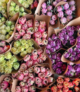 Colorful tulip bouquets in pink, purple, green and coral arranged in brown paper on wood surface