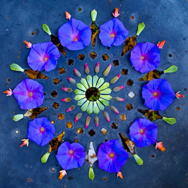 Circular mandala pattern with blue flowers, green buds, and berries arranged symmetrically around a white central flower