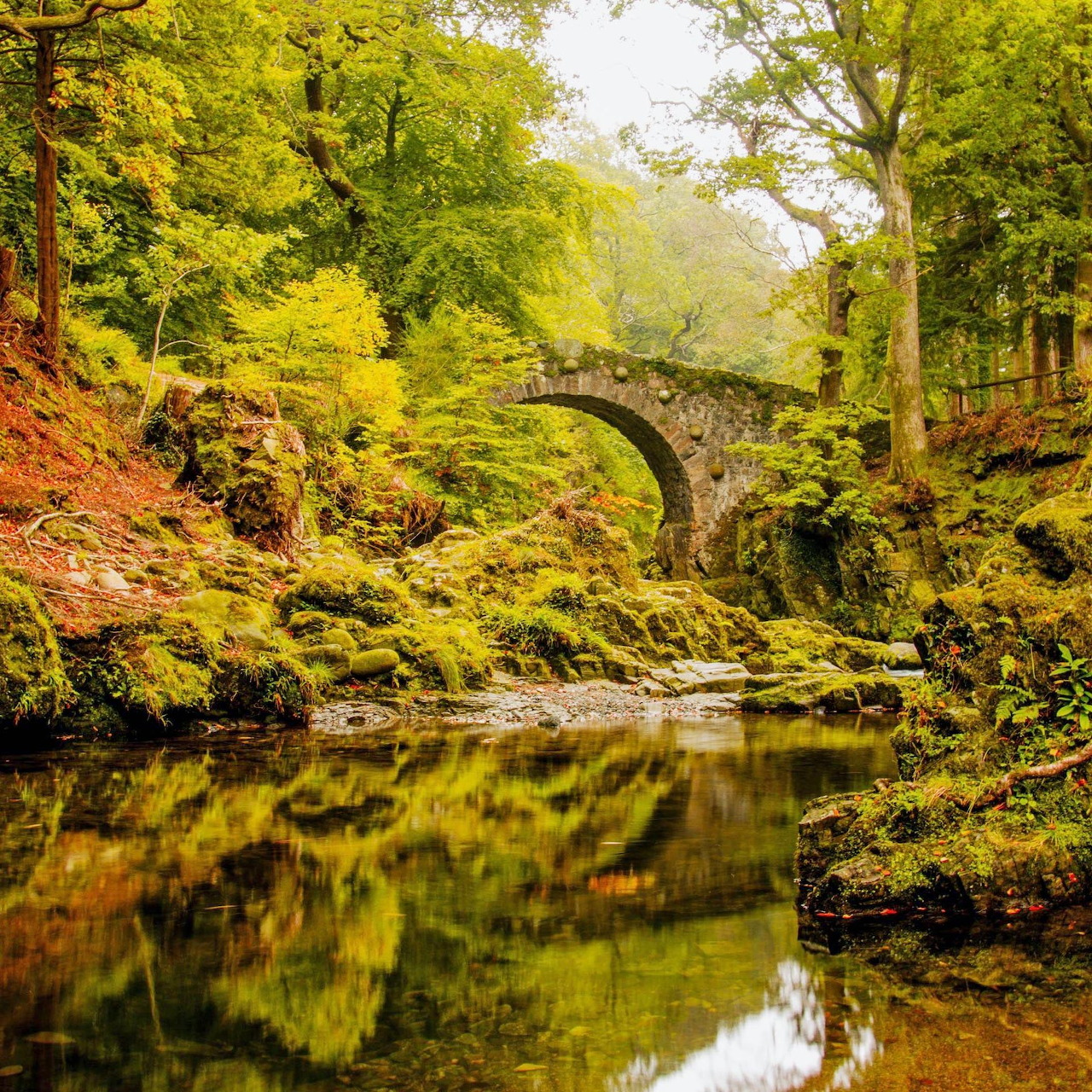 Stone Bridge in Autumn Forest