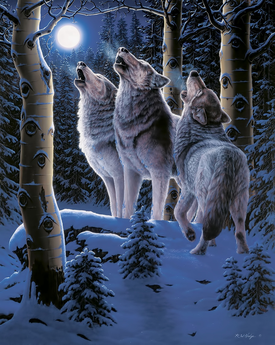 Three grey wolves howling at a full moon in a snowy forest at night