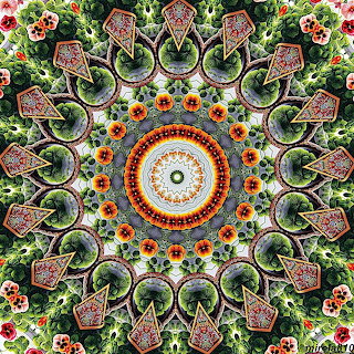 Floral Mandala Pattern