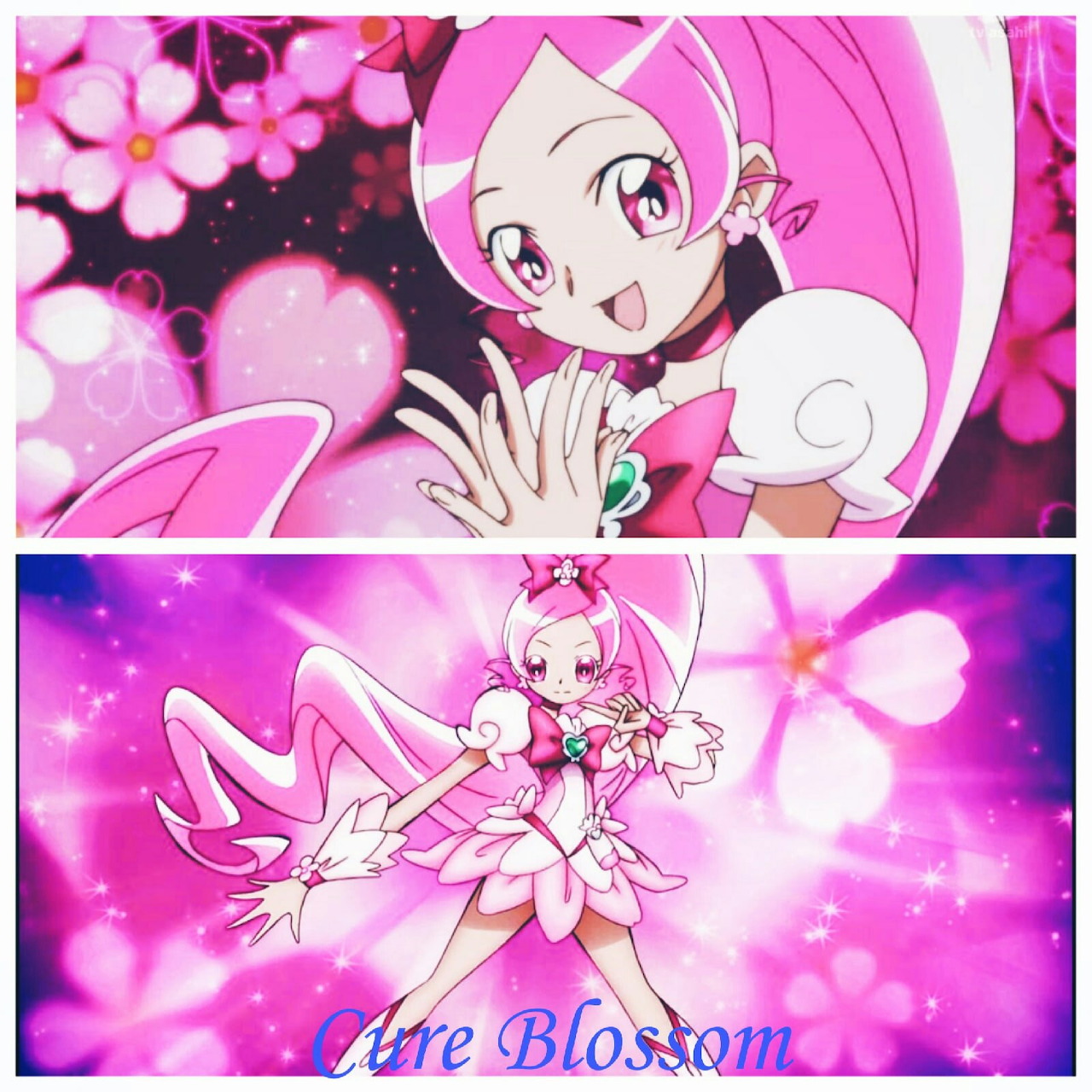 Cure Blossom