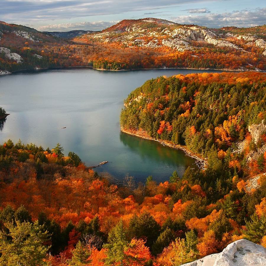 Aerial view of lake surrounded by colorful autumn forest in Ontario