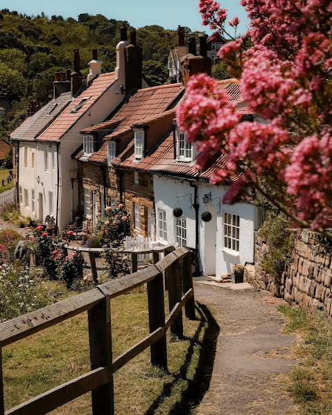 Historic cottages on steep cobbled street with pink flowering tree and wooden fence in foreground