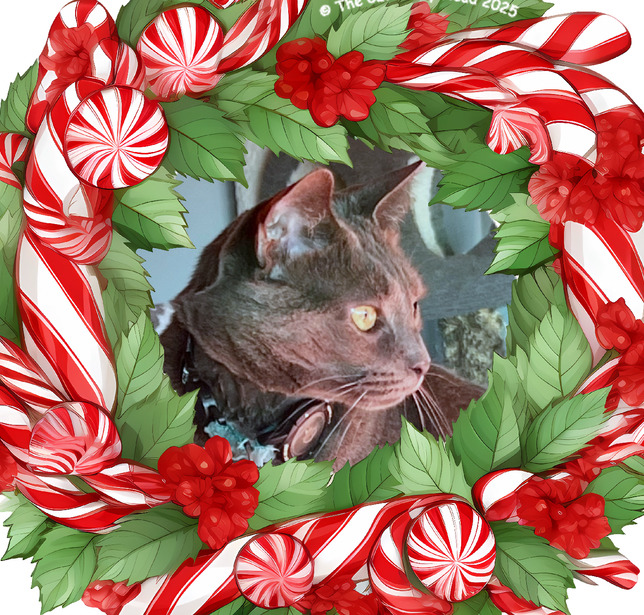 Gray cat in profile surrounded by Christmas wreath with candy canes and peppermint decorations