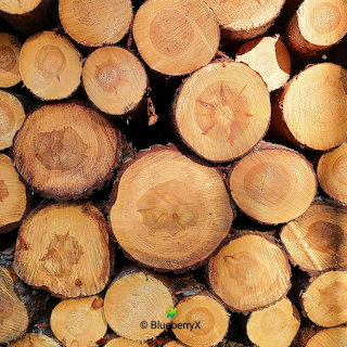 Stacked Log Ends