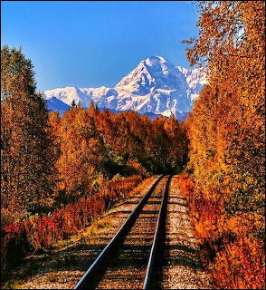 Wilderness Railroad Mt McKinley Alaska