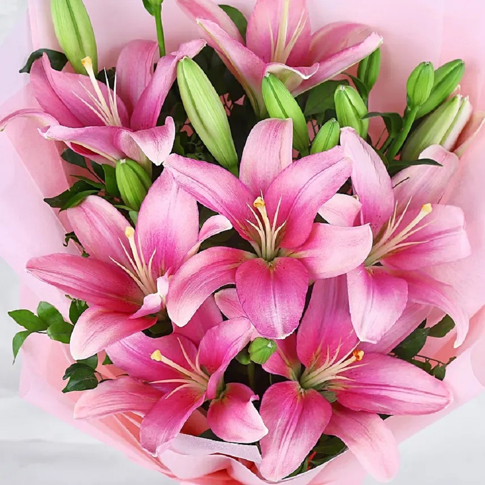 Bouquet of pink lily flowers with white streaks and green buds wrapped in light pink paper
