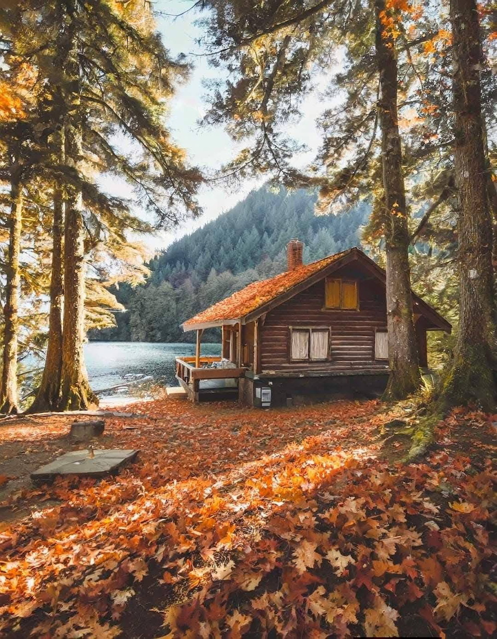 Rustic cottage by a lake surrounded by autumn trees and fallen leaves