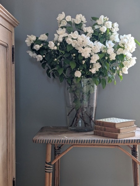 White seringat flowers in a glass vase on a small table with books indoors