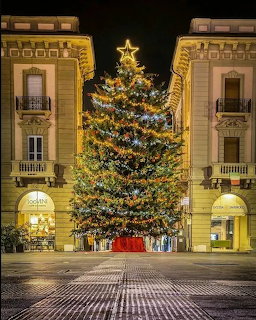 Italian Christmas Tree Plaza