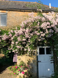 Cottage exterior covered with climbing flowers and vines in a lush garden setting