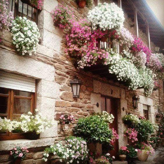 Rustic stone cottage exterior decorated with abundant pink and white flower boxes and potted plants
