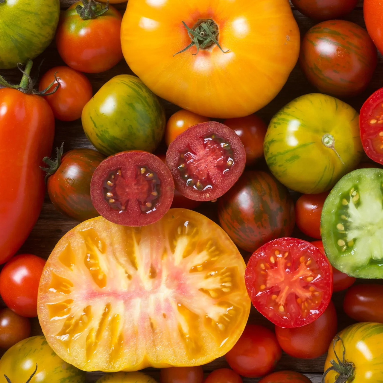 Tomato Varieties