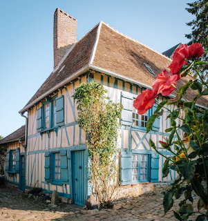 Historic half-timbered cottage with blue shutters, climbing vines, and red flowers in foreground