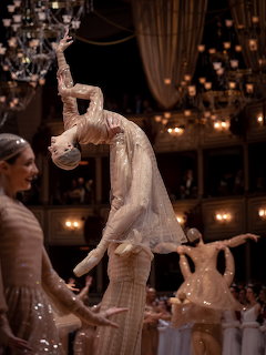 Opera Ball Vienna Performance