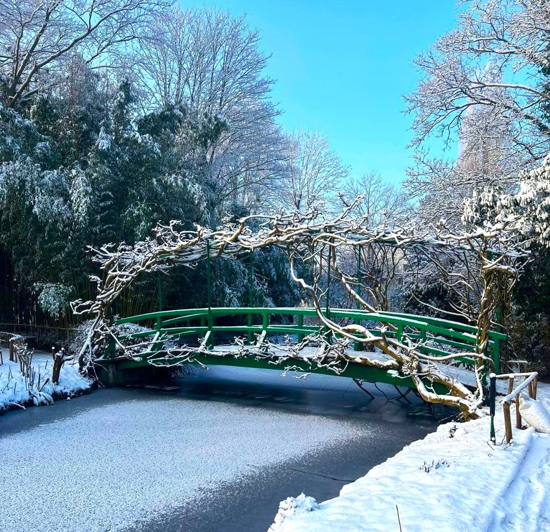 Snow-covered green bridge over frozen pond surrounded by frost-covered trees under blue sky