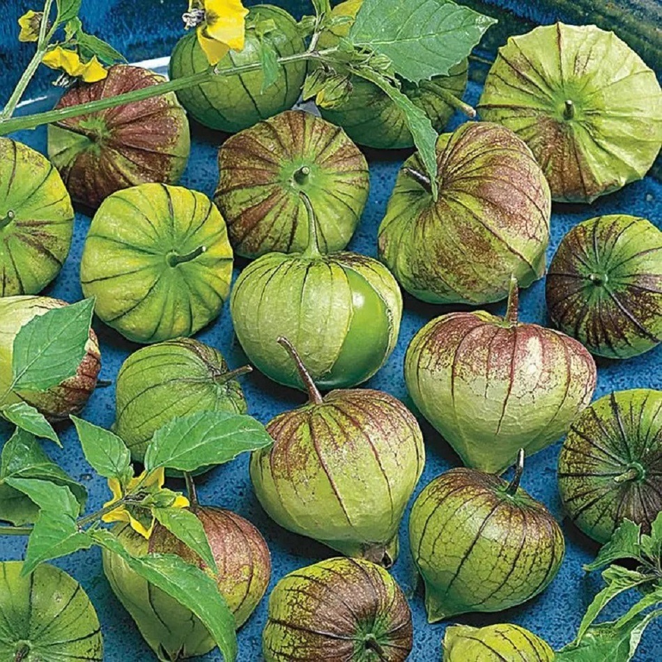 Fresh Tomatillos