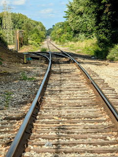 Train tracks meeting at a switch junction with gravel and trees alongside