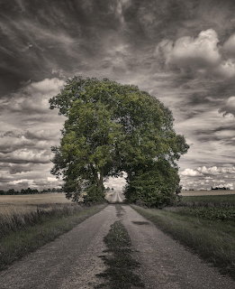 Black and white photo of a country road leading to a large tree under dramatic cloudy sky