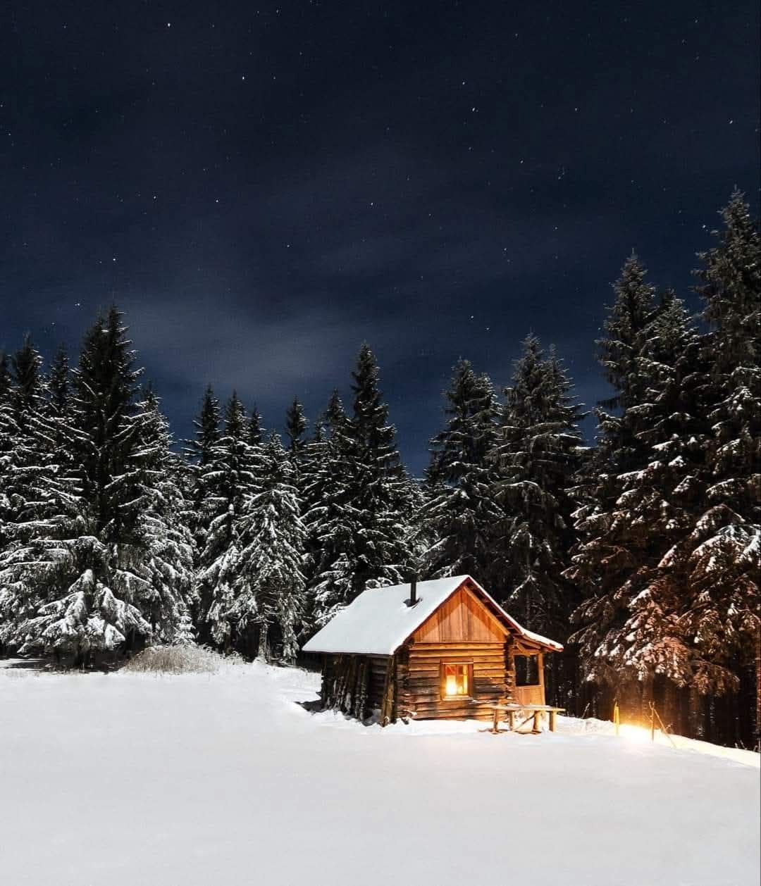 Snowy Forest Cabin