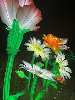Illuminated Garden Flowers