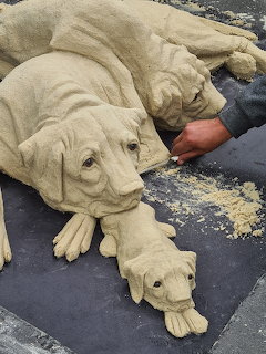 Three cream wrinkly puppies sleeping closely together on a dark blanket
