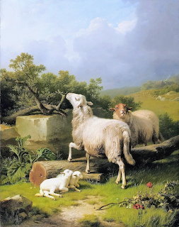 Sheep in an Extensive Landscape