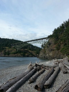 Steel bridge over water between tree-covered cliffs with driftwood logs on a rocky beach in foreground