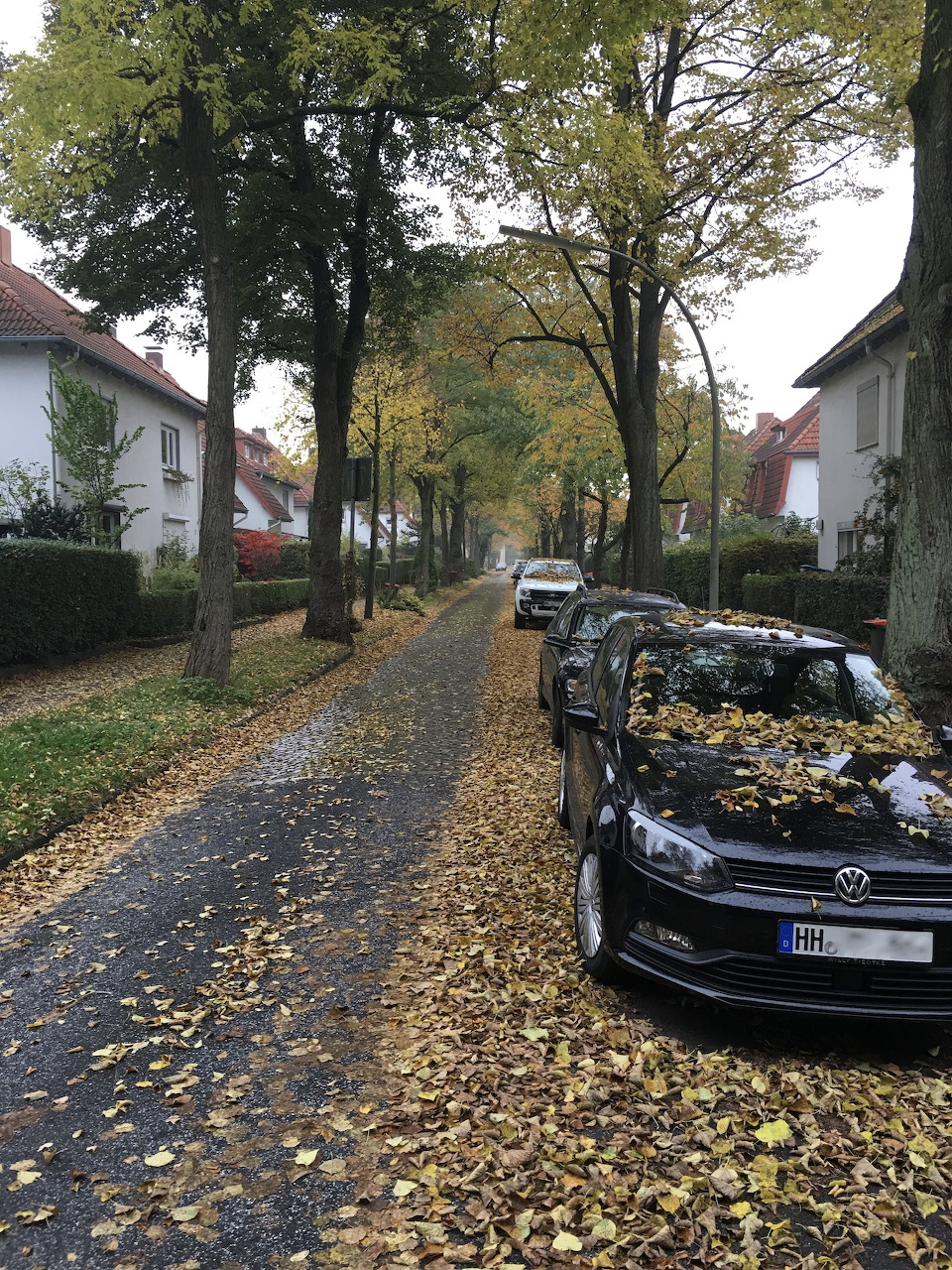 Residential street with autumn trees, fallen leaves, parked cars, and houses