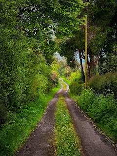 Green Country Lane