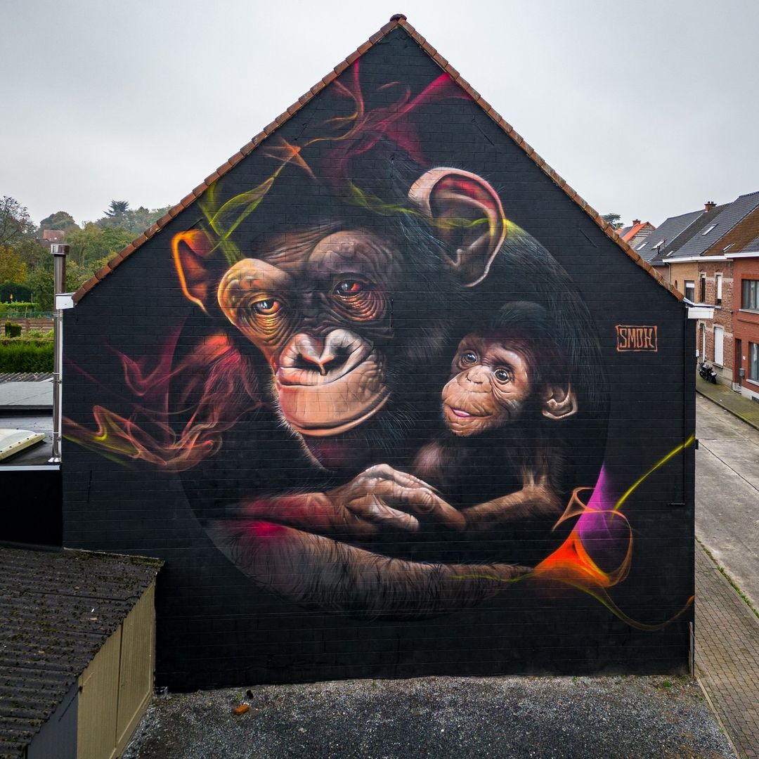 Street art mural of two chimpanzees painted on a building wall with colorful abstract accents