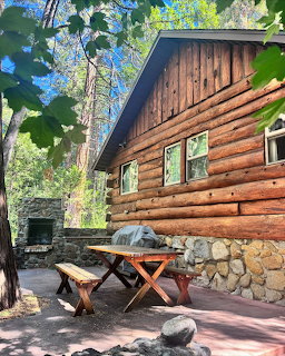 Rustic log cabin with stone base, picnic table, and outdoor stone fireplace surrounded by trees