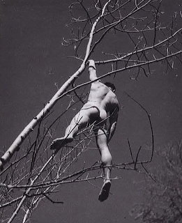 Person climbing up a bare tree branch in black and white photograph from below