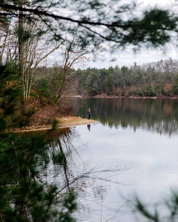 Calm pond with wooded shoreline and tree reflections on still water