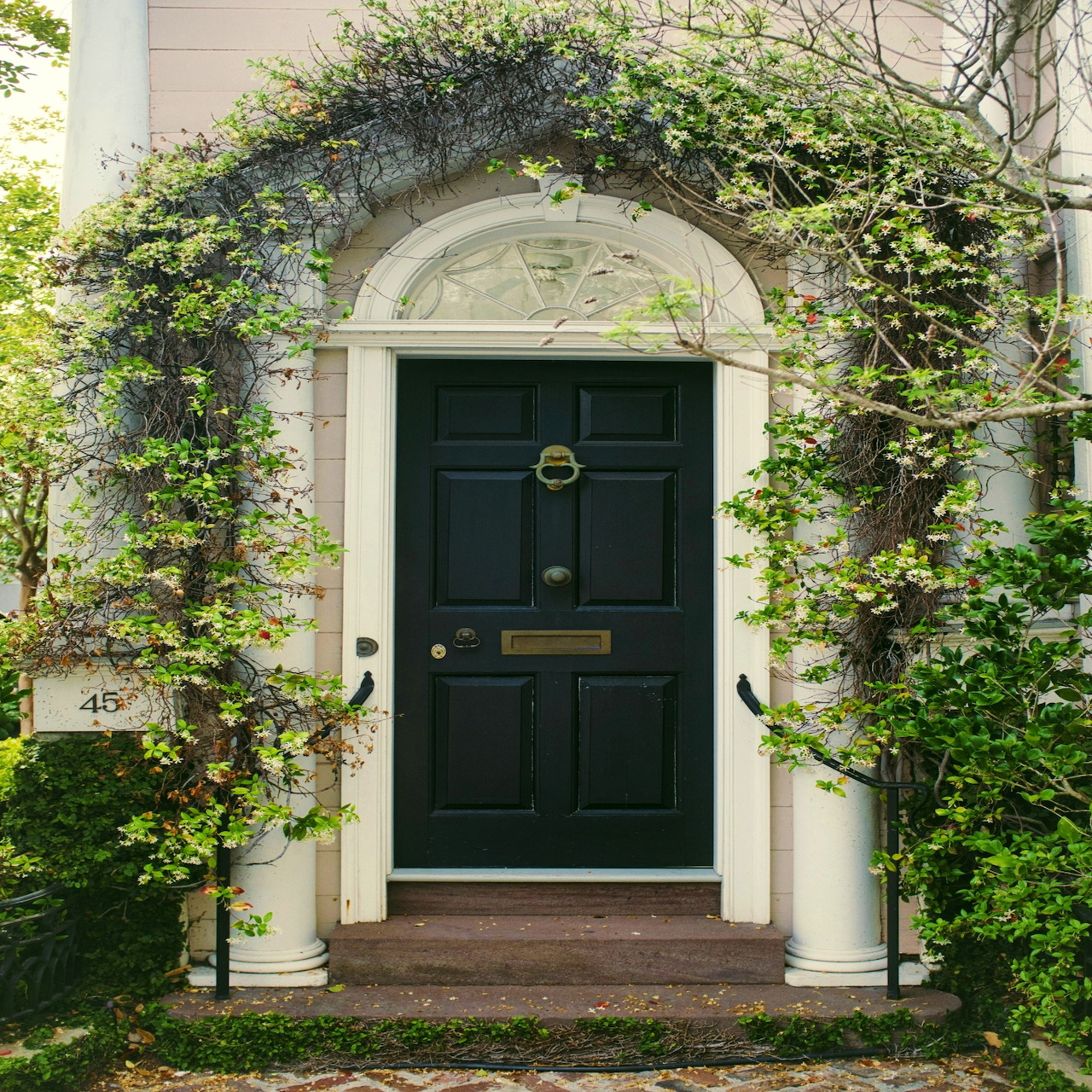 Black front door with white columns and an ivy-covered arched entrance