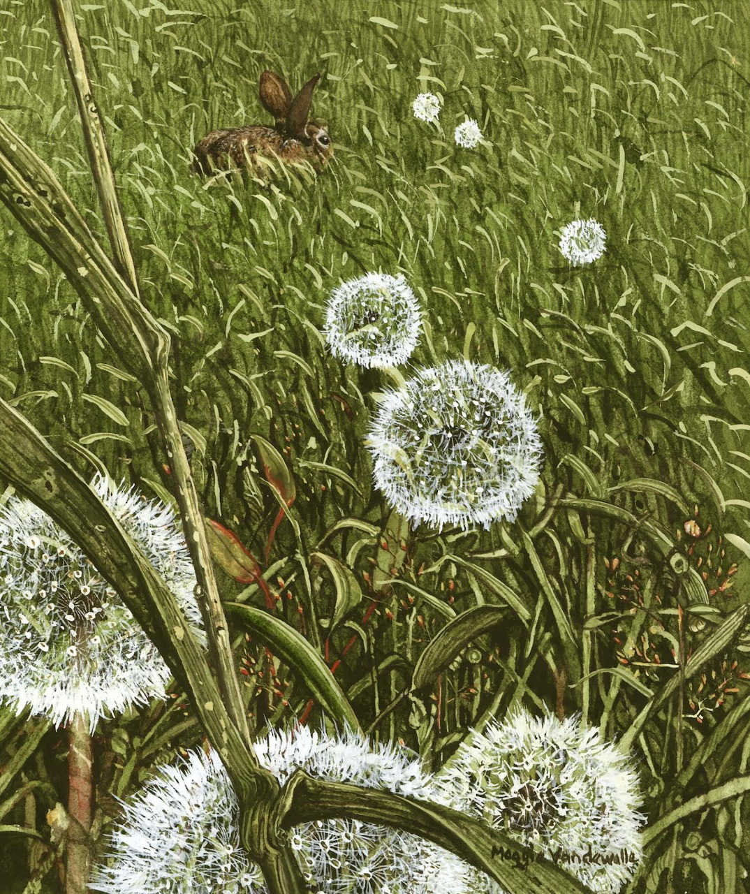 Brown rabbit in tall grass with white dandelion flowers