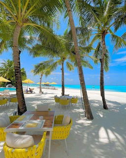 Yellow outdoor dining furniture on white sand beach under palm trees with turquoise ocean in background